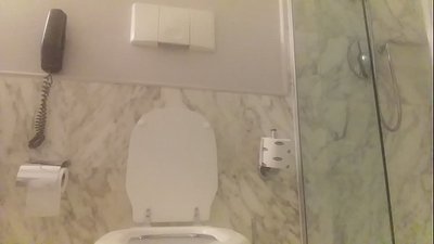 Saxanka qubeyska oo madax guduudan leh.